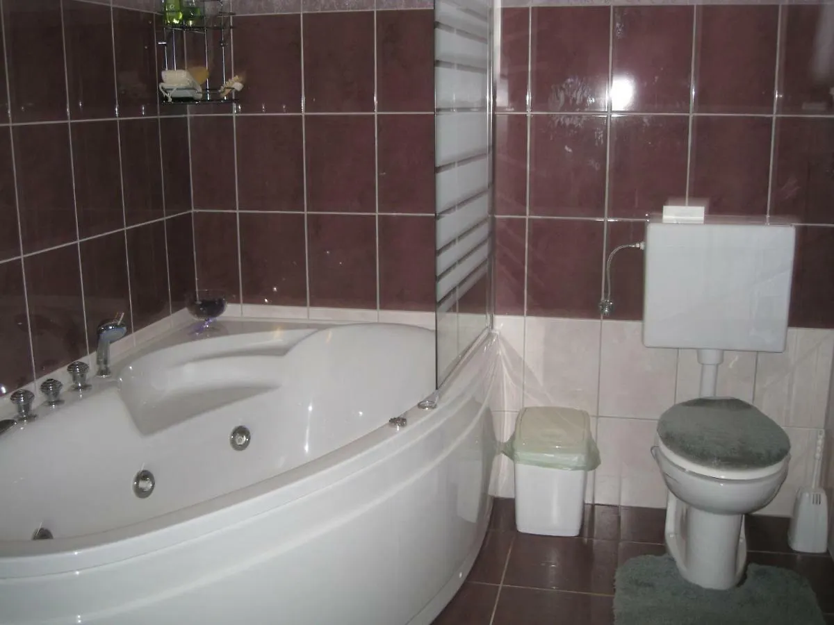 Apartment Medo Ravna Gora